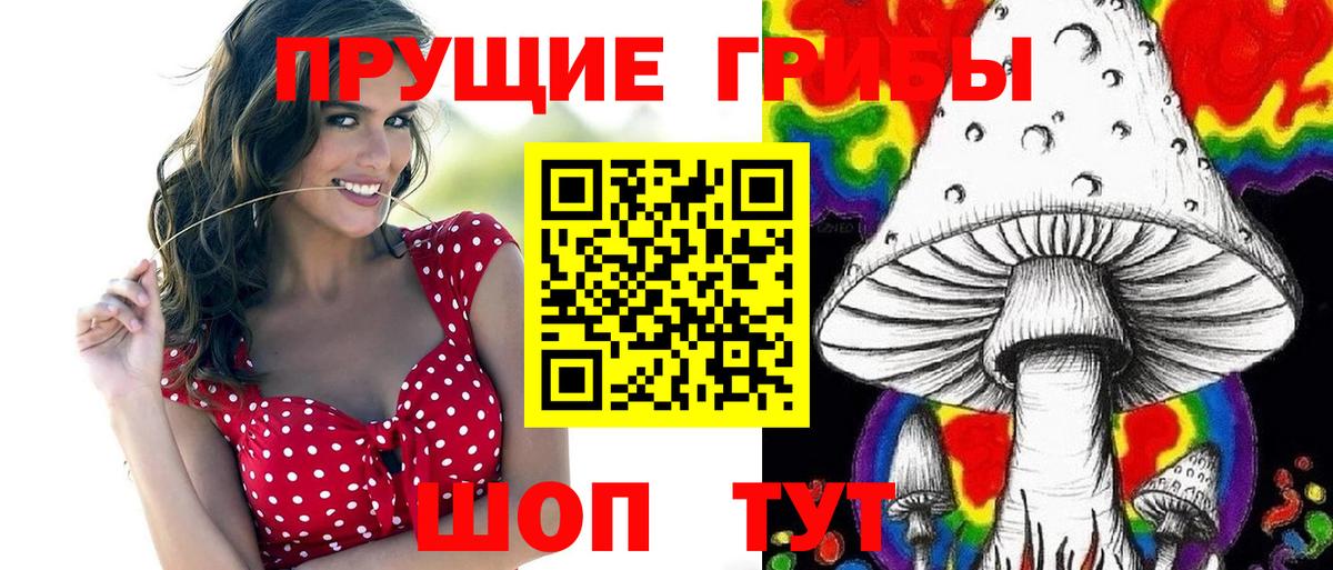 Вышний Волочёк  Псилоцибиновые грибы MAGIC MUSHROOMS  сколько стоит  Вход с VPN 