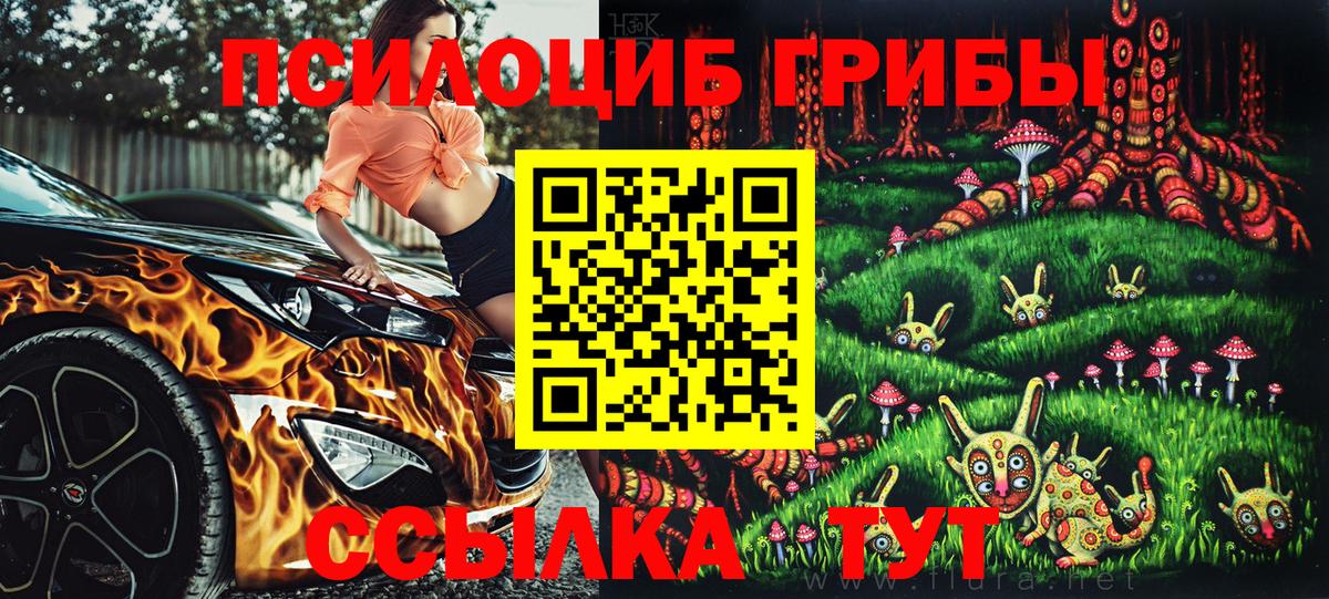 Галлюциногенные грибы Cubensis Вышний Волочёк